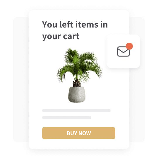 abandoned cart recovery - free online store