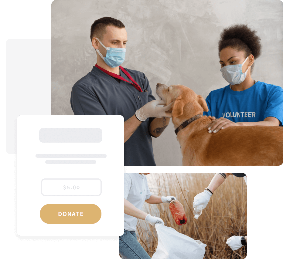 accept donations - free website builder